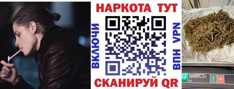 Альфа ПВП Майкоп