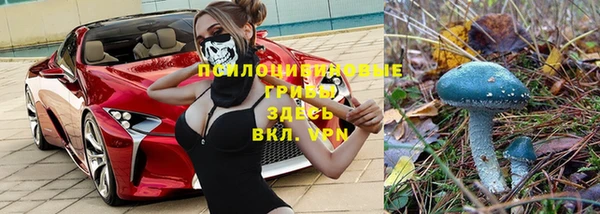 герыч Алексин
