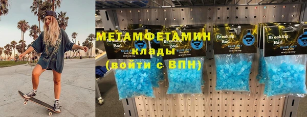 ECSTASY Алзамай