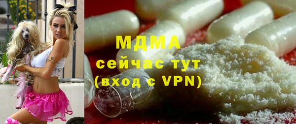 ECSTASY Алзамай